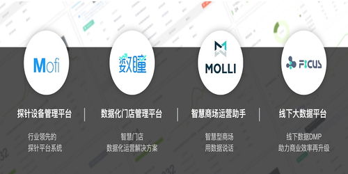 芝麻科技朱智 用线下大数据技术服务提升商家运营效率